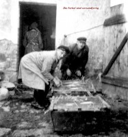 /album/schweinetransport/gunter-finke-003-jpg/